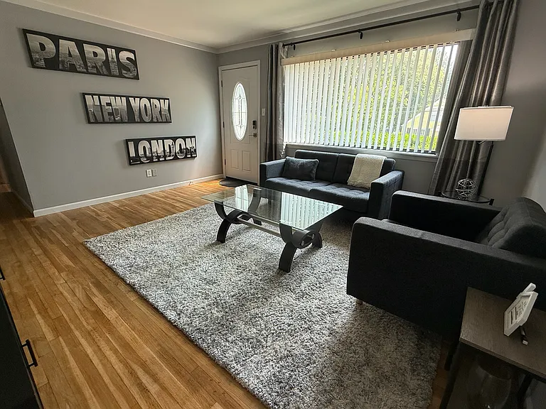 fully furnished living room--view 4