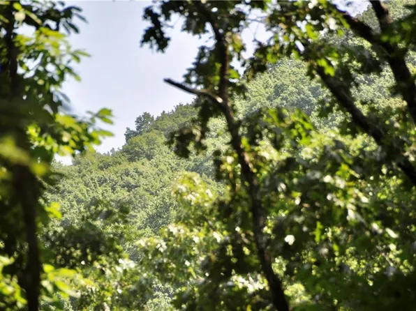 7097 Pine St Lot 7097, Jasper, GA 30143