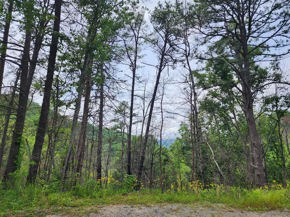 LOT 20 Sugar Maple Loop Rd, Sevierville, TN 37862