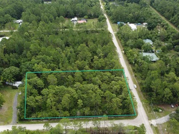 4694 CLOVE AVENUE, BUNNELL, FL 32110