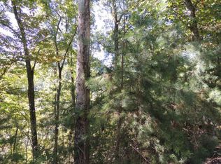 0 Hog Lot Rd, Rogersville, TN 37857