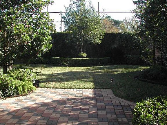 Back Yard