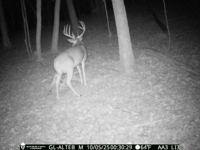 0 Equality Church Rd, Centertown, KY, 42328