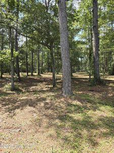 2539 Shell Point Rd SW, Shallotte, NC, 28470
