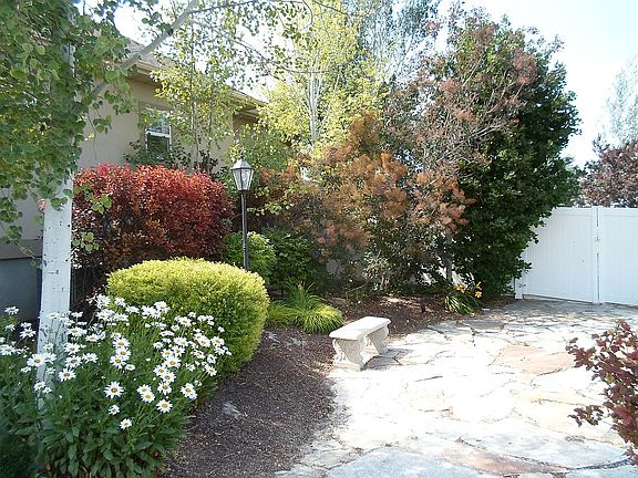 Side Yard Patio