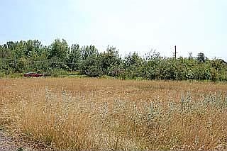 4th image of 89140 Territorial Rd