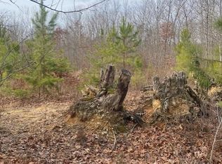 Doctors Rd, Louisa, VA 23093