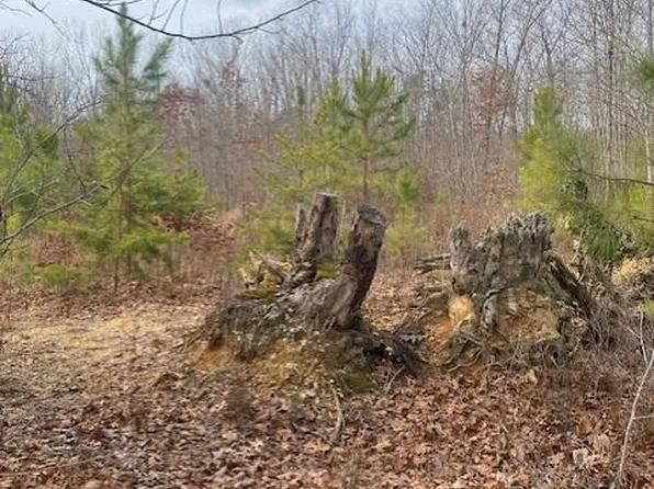 Doctors Rd, Louisa, VA 23093