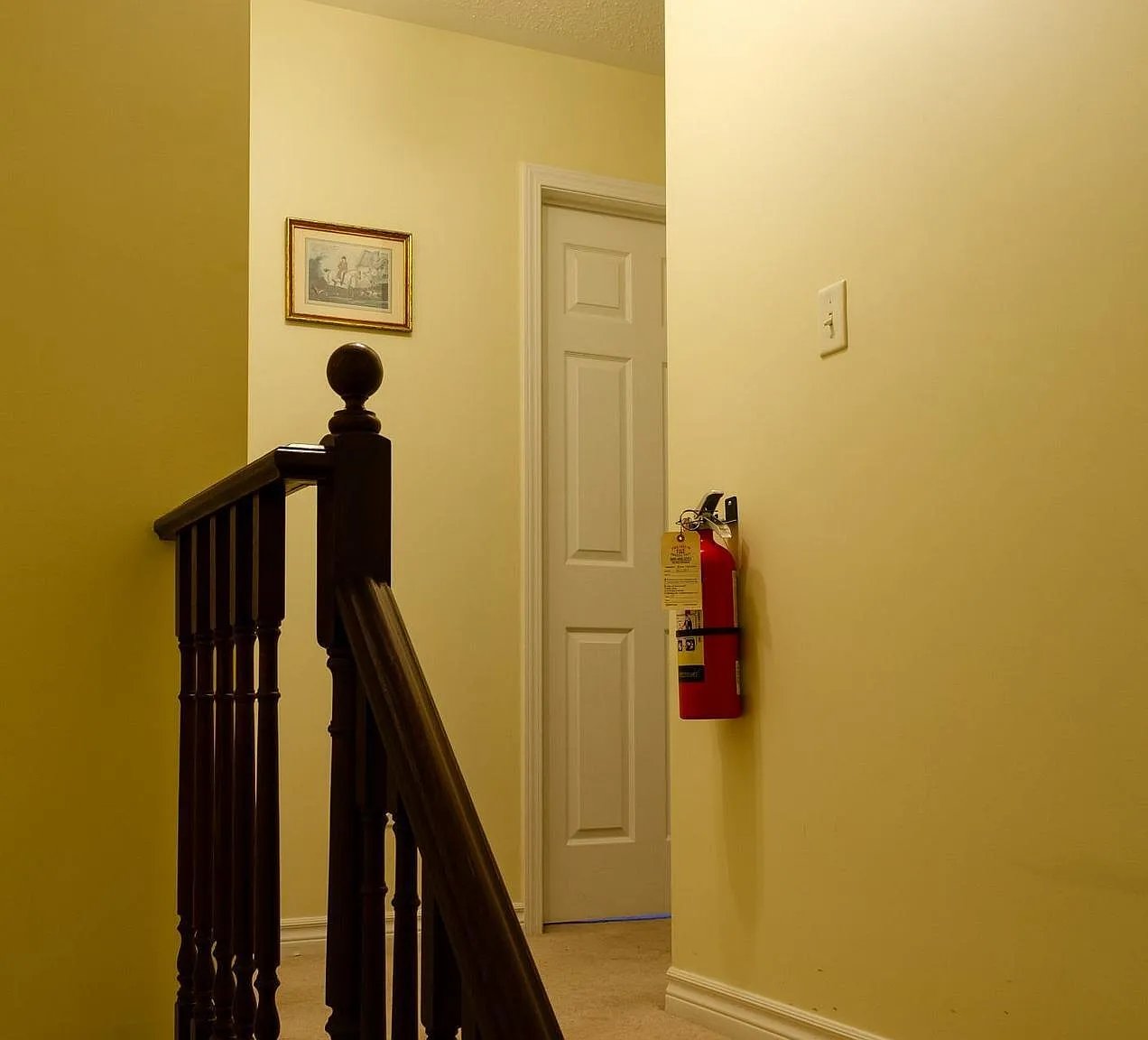 1 bed, $800 — Photo 3