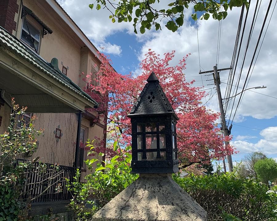 2nd image of 3725 Derry St