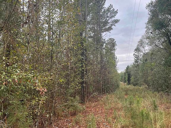 4th image of 0 County Road 47