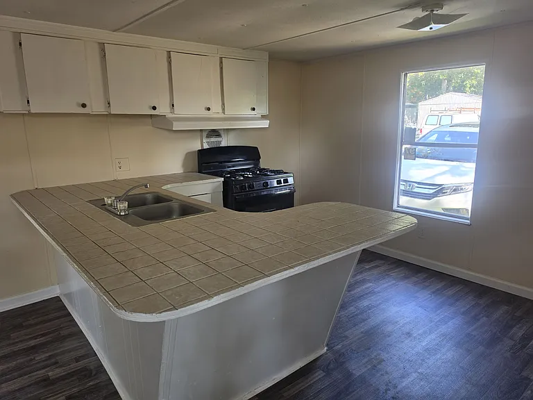 Swan Lake - Rent to Own — Photo 57