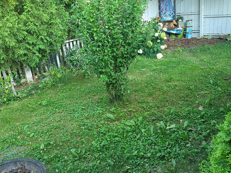135 S Elmwood Ave — Photo 33