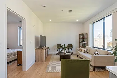 30 3 Vroom Street