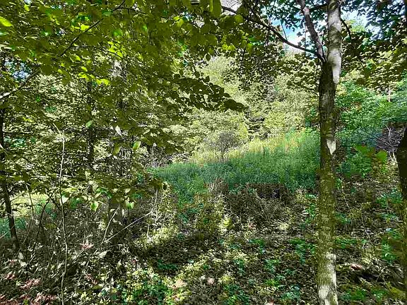 4th image of L9 Pheasant Ct E