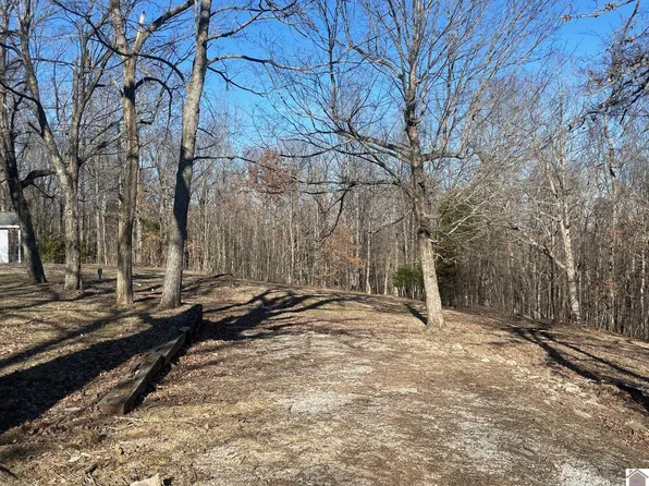 821 Vicksburg Rd, Tiline, KY 42083