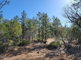 1071 S Falling Leaf Rd, Show Low, AZ 85901