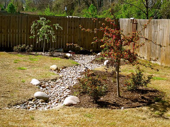 Dry Creek Bed
