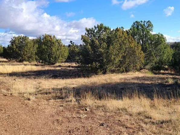 8528 Bobcat Dr, Show Low, AZ 85901