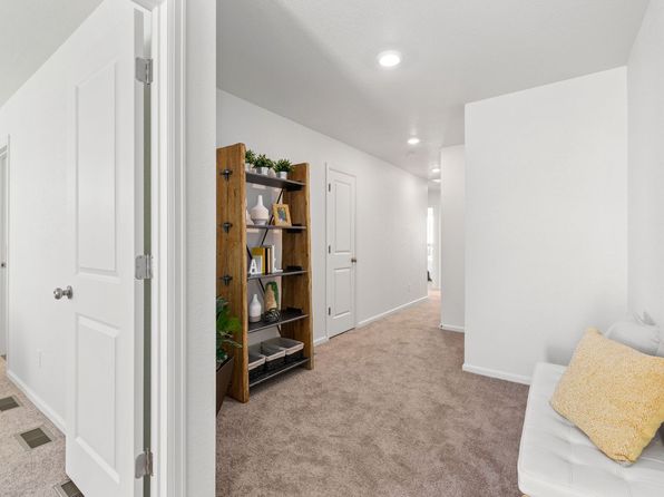 colorado-springs-colorado-447437127 picture