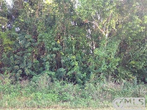 two lots together on Fuschia lot for sale is one on the right side looking at the lots.