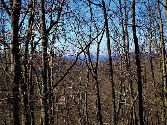 5th image of 18 Hideaway Way Lot 18
