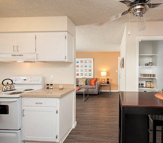 Driftwood Apartments — Photo 12