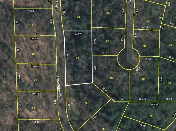 Sycamore St, Sevierville, TN 37876