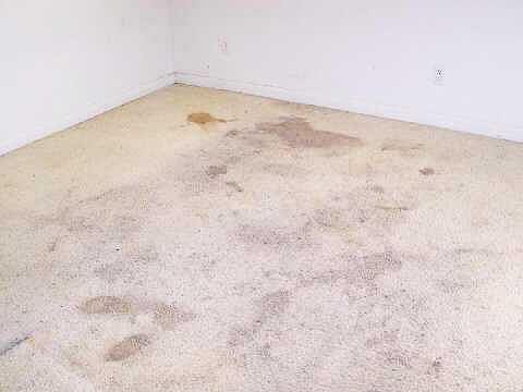 5th image of 1315 Eureka St