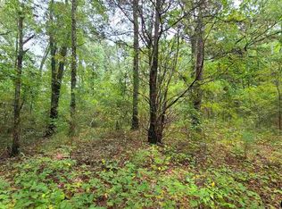 County Road 335, Tyler, TX 75708