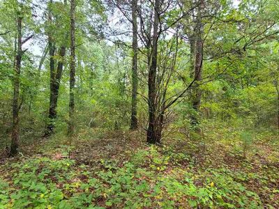 County Road 335, Tyler, TX, 75708