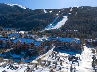 100 Dercum Sq UNIT 8342, Dillon, CO 80435