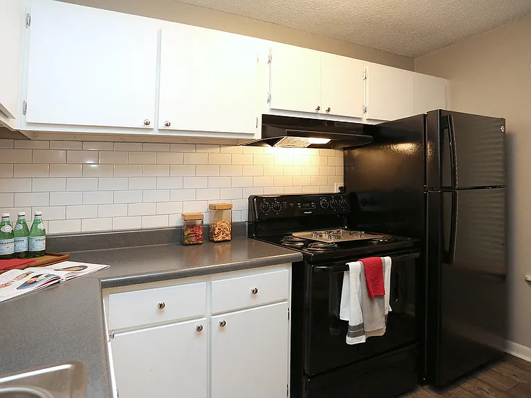 555 Eagles Crest Village Ln — Photo 2