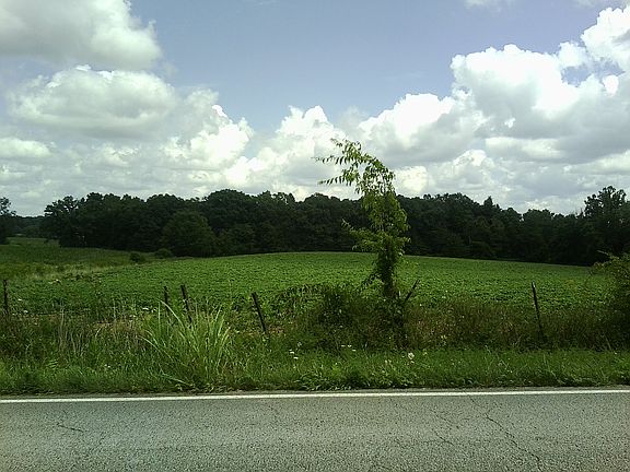 pasture across the road