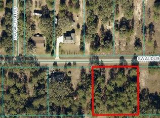 0 SW Audubon Ave #11, Dunnellon, FL 34431