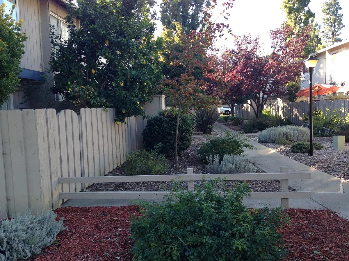3 bed, 1230 sqft, $3,950 — Photo 2