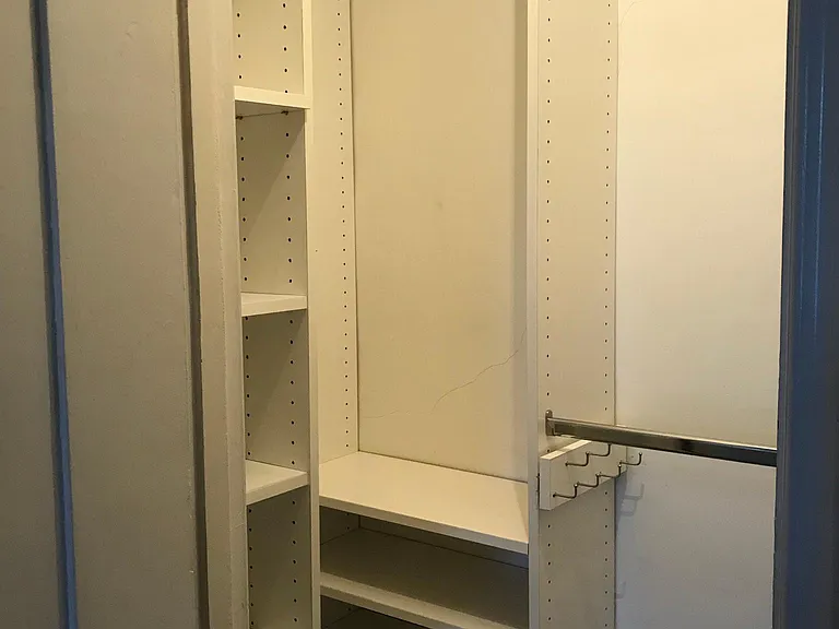 custom BR closet