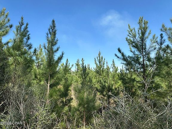 4th image of TRACT 6336 Sand Path Rd