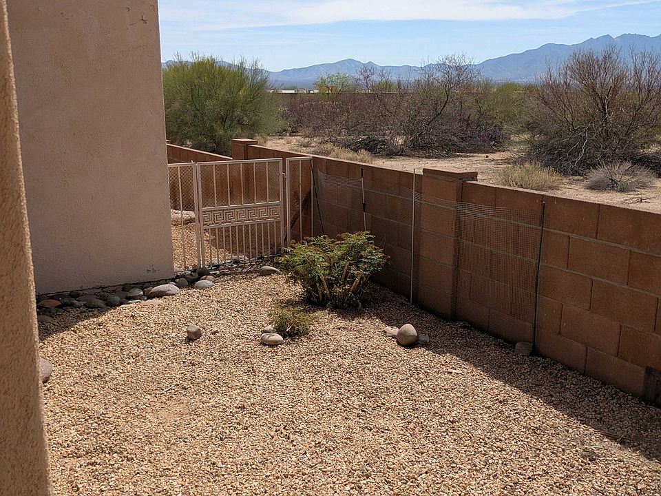 Backyard 1_03312025