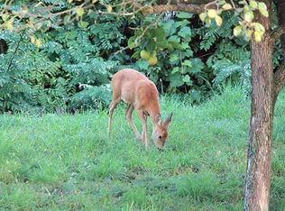 104 S Mountain Rdg LOT 17, Cresson, TX 76035