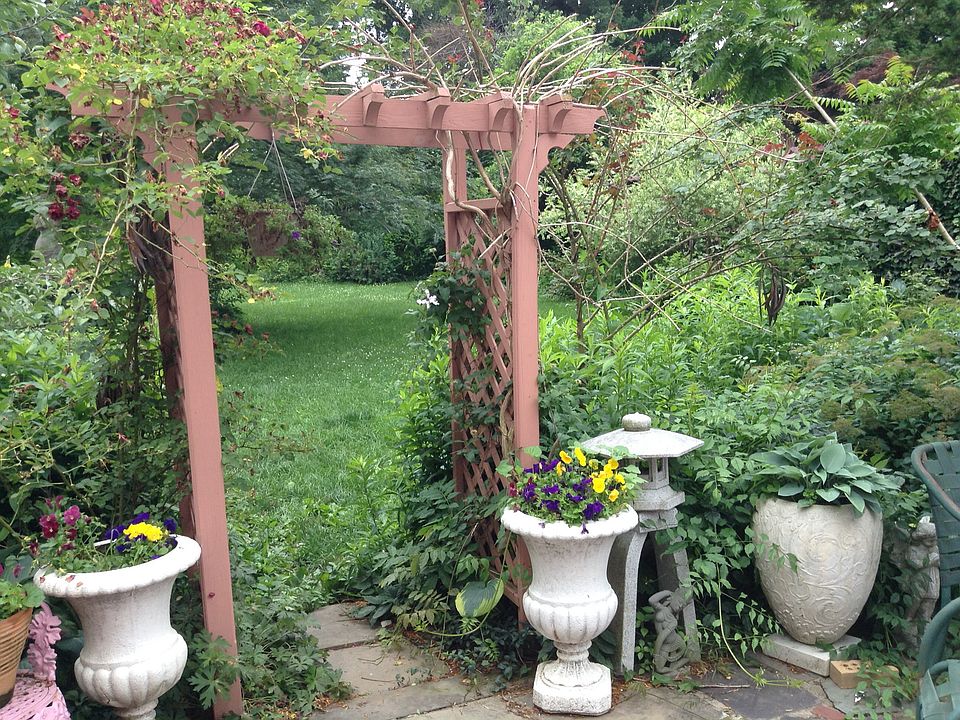 Backyard Patio