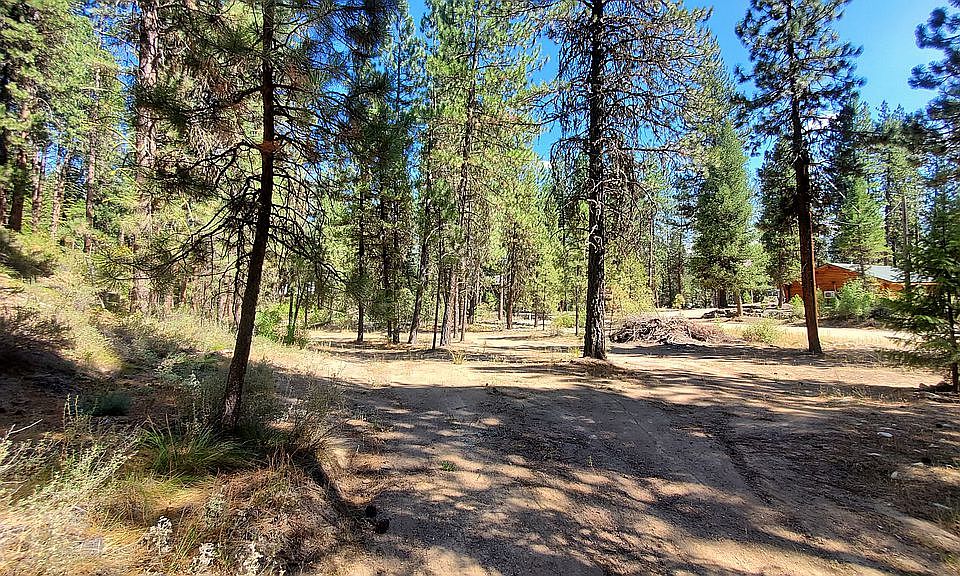 2nd image of 31 Lodgepole Ln
