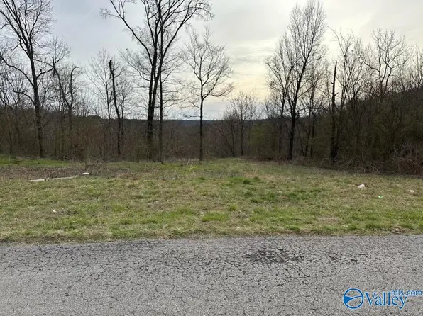 4.75 Tinner Mayo Rd, Union Grove, AL 35175