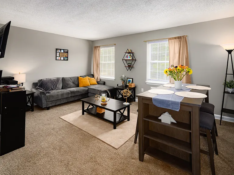 Lanier Terrace Apartments — Photo 8