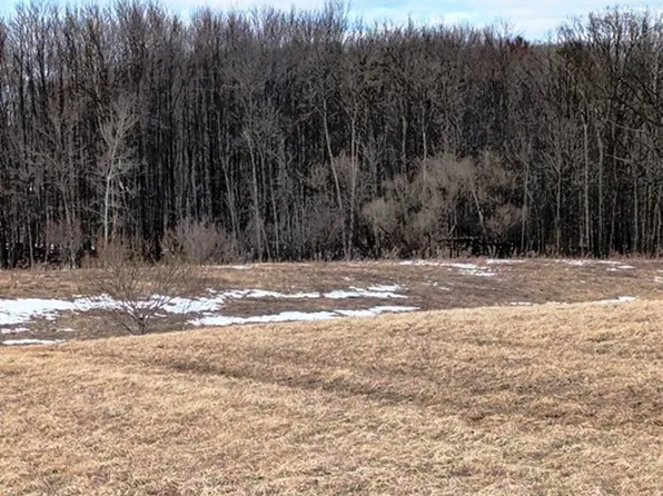 Sec 11 CROW ROAD, Willard, WI 54493