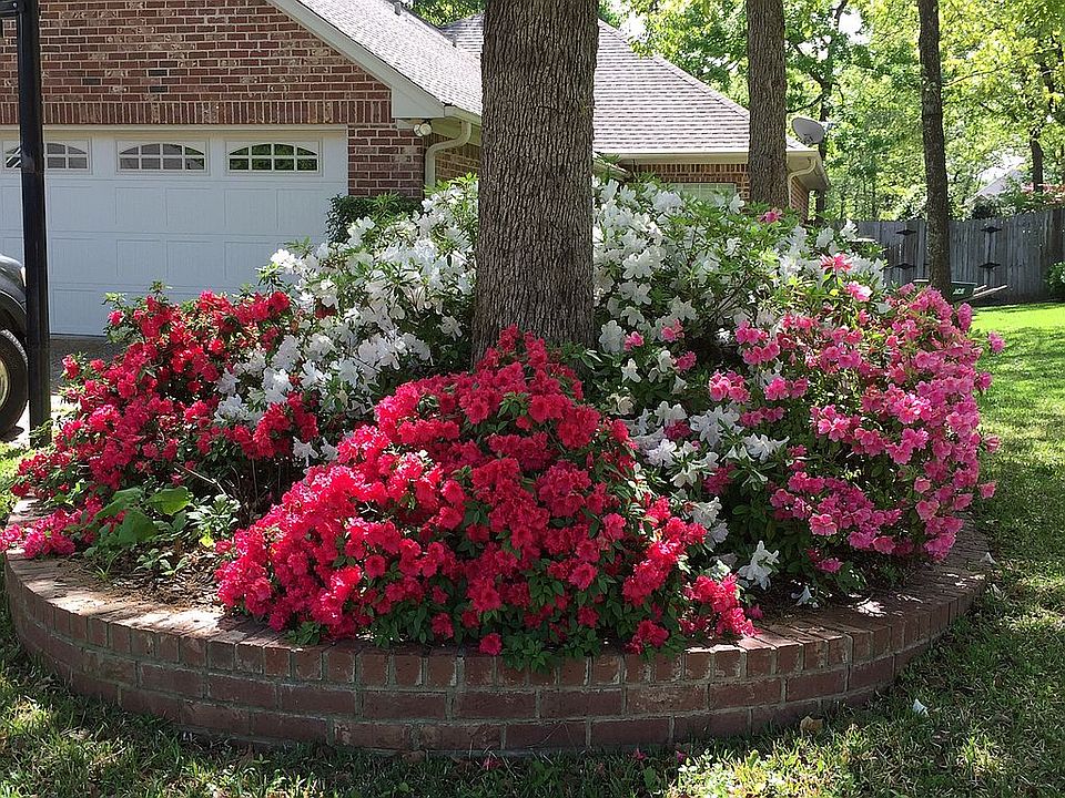 2nd image of 3411 Pebblebrook Dr