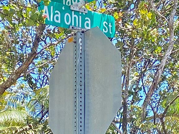 2nd image of Ala Ohia St Lot 53-B-715
