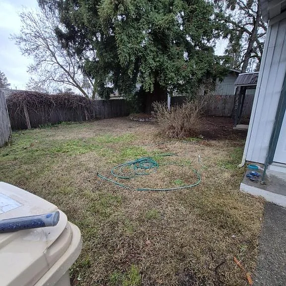 296 Reddy St — Photo 2
