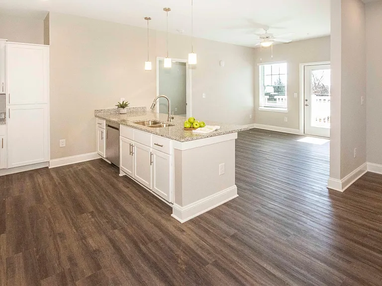 Farragut Pointe — Photo 20