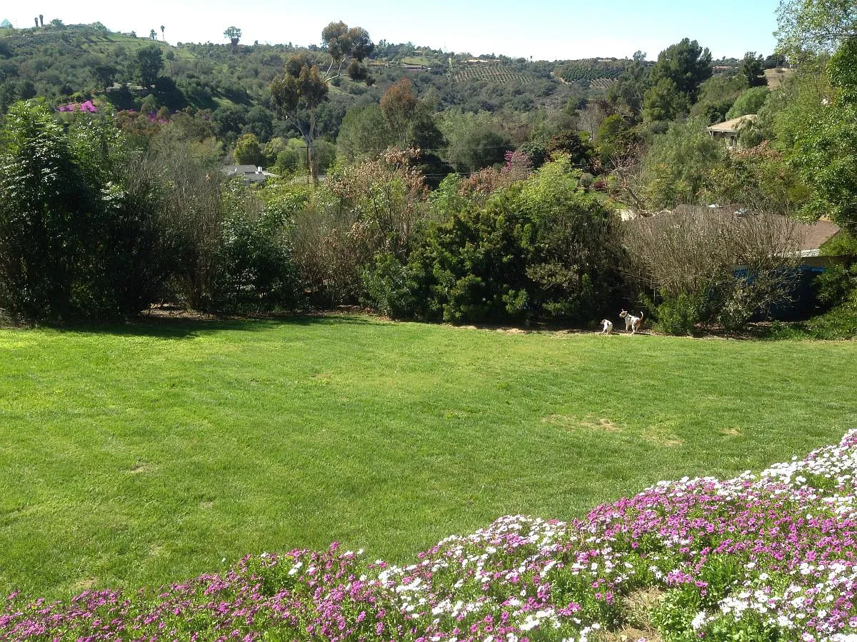 4211 Palomar Drive — Photo 2